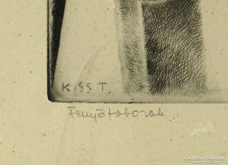 1C948 Kiss Terézia : "Fenyőtobozok"