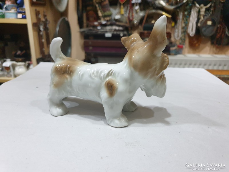 Régi német porcelán kutya 