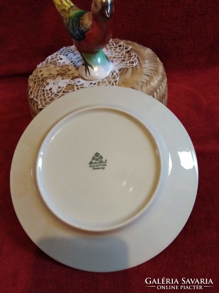 Rosenthal német porcelán süteményes tányér, jelzéssel