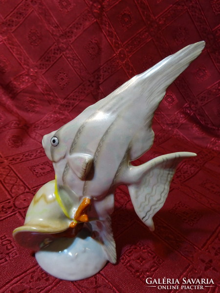 Drasche porcelain, fish figure with shell, height 15 cm. He has. Nice!