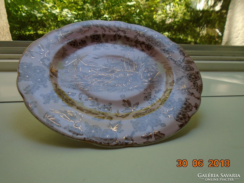 Aranykontúrozott,antik,egyedi festéssel,madár rovar mintás rózsaszín porcelán tányér