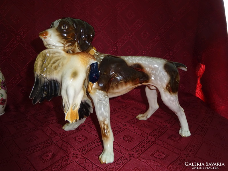 Német porcelán kutya, német vizsla a vadkacsával. Vanneki!