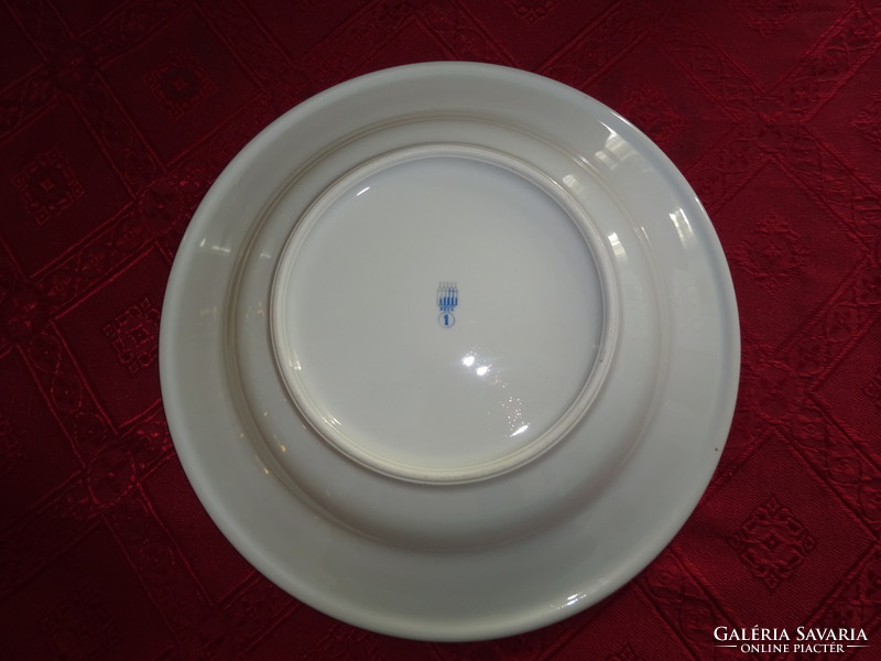 Zsolnay porcelán kék csíkos mélytányér, átmérője 23,5 cm. Vanneki!