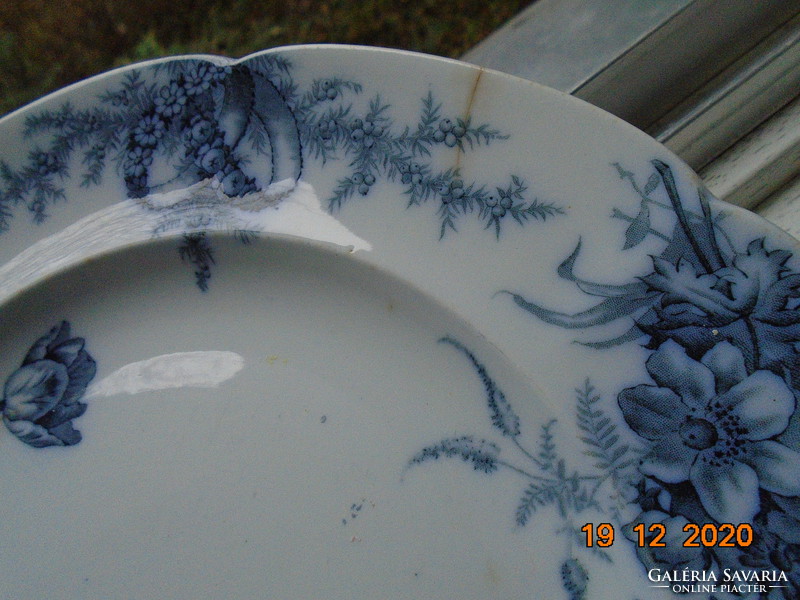 19.sz Viktoriánus B.W.M.&Co Cauldon tányér "Cosmopolite" virág mintával