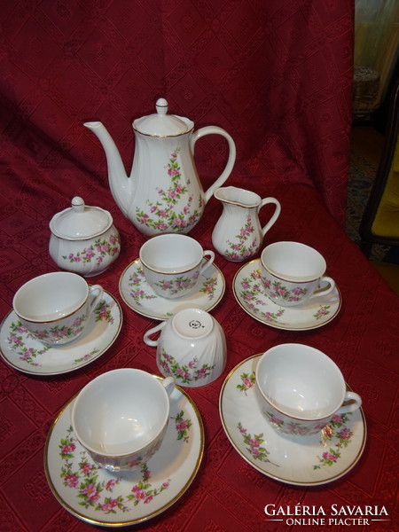 Bulgarian porcelain, pink floral tea set for five. He has!