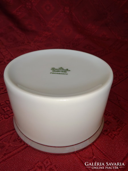 Rosenthal German quality porcelain sugar bowl with silver trim. He has!