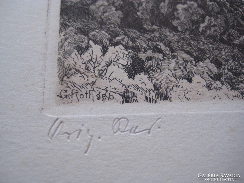 Heidelberg  német rézkarc   22 x 16 cm.  G. Roth szignó .....