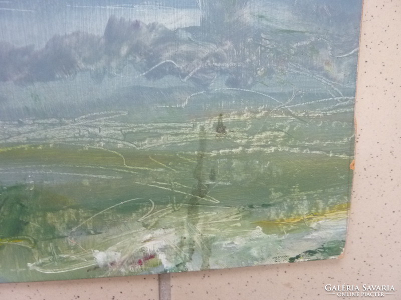 Takács L.: Balatoni öböl (olajfestmény 31x43 cm) 1989 - víz, tó, tavas, természet, táj, panoráma