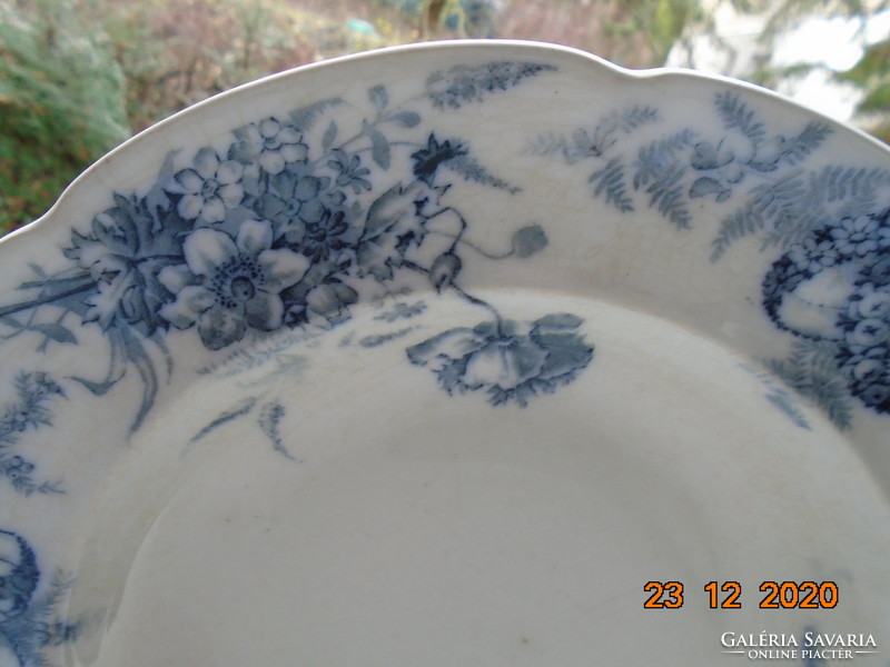 19.S Victorian b.W.M. & Co cauldon deep plate with 
