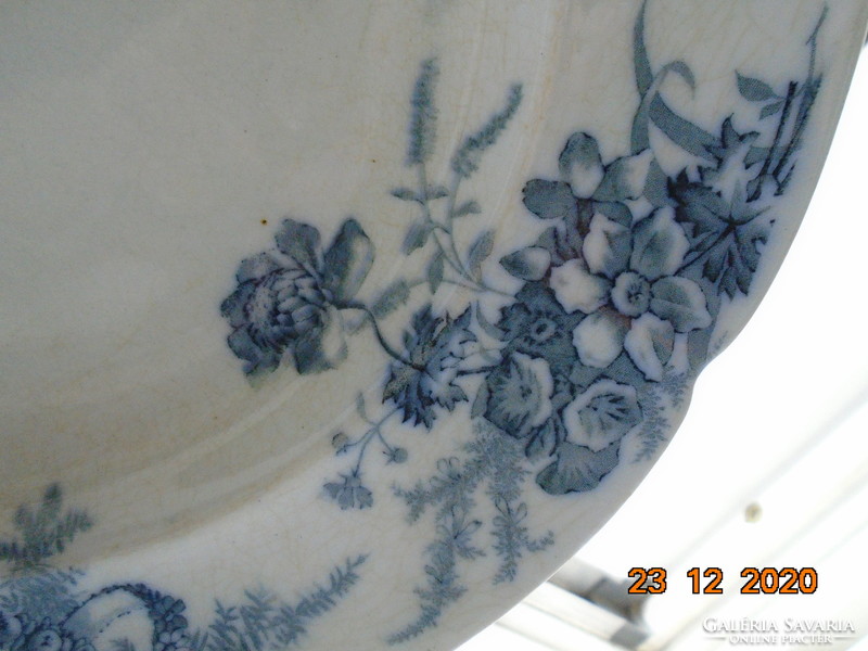 19.sz Viktoriánus B.W.M.&Co Cauldon mélytányér "Cosmopolite" virág mintával