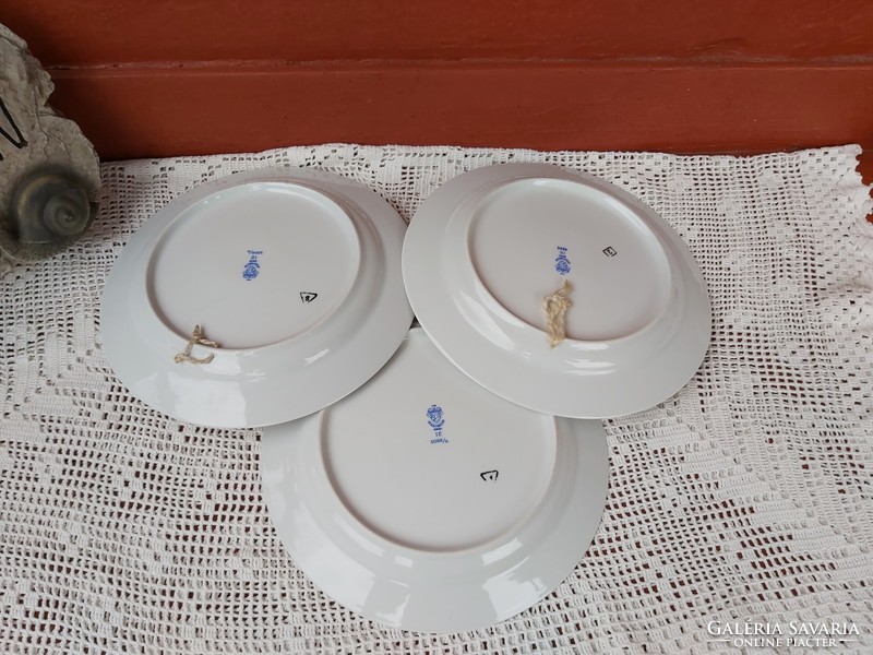 Great Plain porcelain 24 cm diameter wall plate, plates, plate nostalgia piece