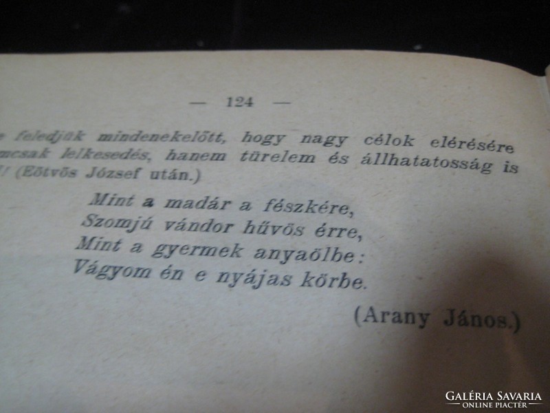 Iskolai   Magyar nyelvtan könyv   ,  írta Szinnyei  József  1906 ban