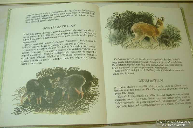 I. The world of animals was drawn by Akimuskin. Kapusztina, 1982