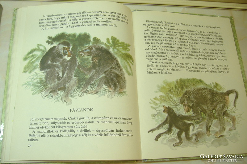 I. The world of animals was drawn by Akimuskin. Kapusztina, 1982