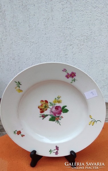 Lezáraztam Altwien, excellent plate with Viennese rose pattern, 1808, wood. Hand-painted xlx. Century, collection