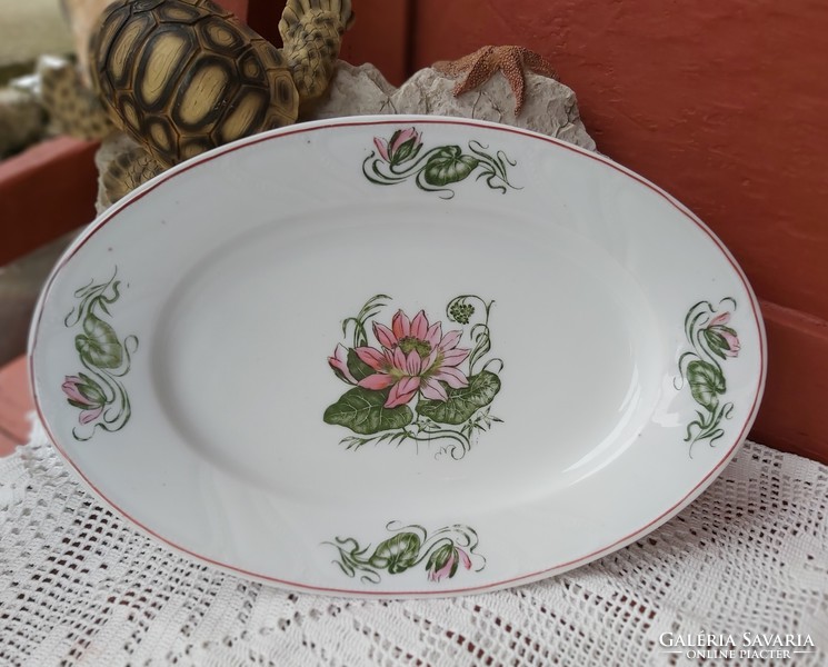 Beautiful waterlily rare Czech porcelain serving roasted fried bowl with rosy floral village peasant