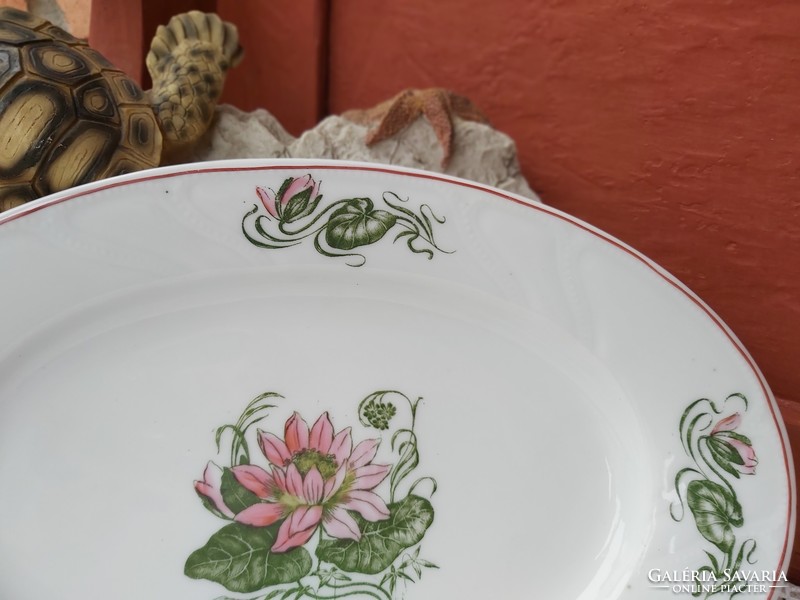 Beautiful waterlily rare Czech porcelain serving roasted fried bowl with rosy floral village peasant