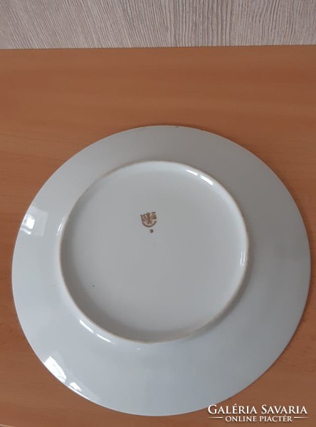 Mz Czechoslovak porcelain decorative plate (circa 1945)