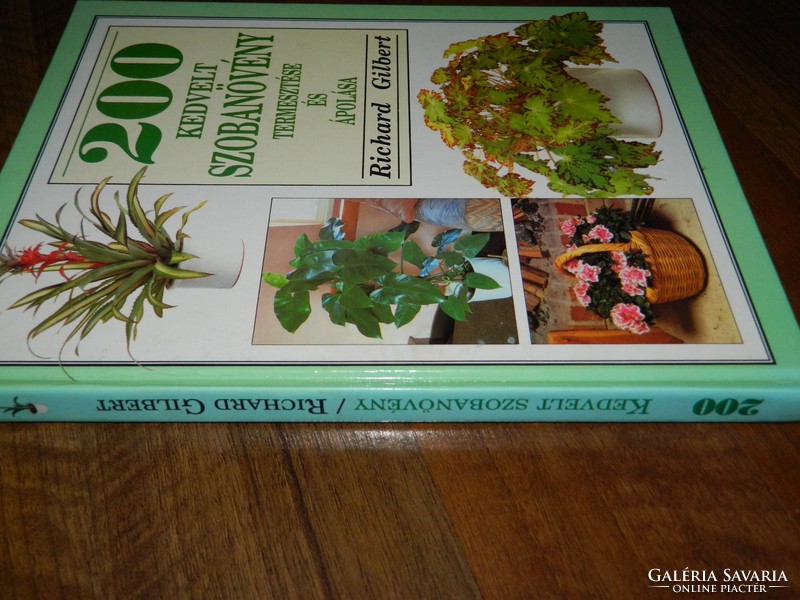200 kedvelt szobanövény termesztése és ápolása  : Richard Gilbert