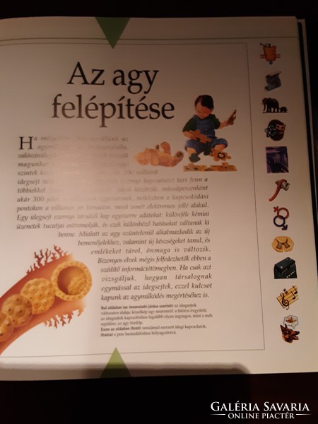 Megmagyarázzuk az emberi értelmet - Magyar Könyvklub Helikon Kiadó 1997.