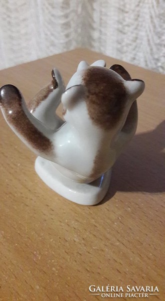Drasche porcelán, játszó medve maci
