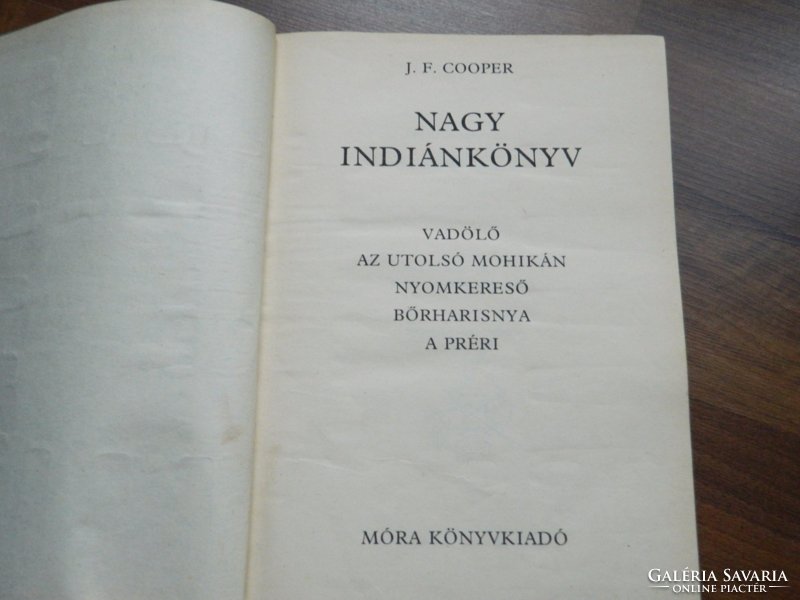 Nagy indiánkönyv