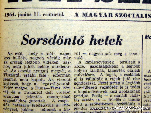 1964 június 11  /  Népszabadság  /  Eredeti ÚJSÁG! SZÜLETÉSNAPRA! Ssz.:  15270