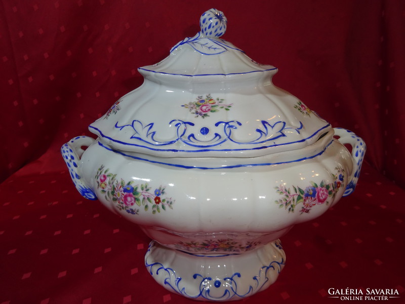 Czech / German porcelain antique soup bowl, large size. Stem with blue ears and colorful flowers. He has!