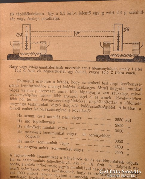 HÁZTARTÁSI TANÁCSADÓ,  A Pesti Hirlap Szakácskönyve, 1918 - 1919, Ritka. Eredeti Kiadás.