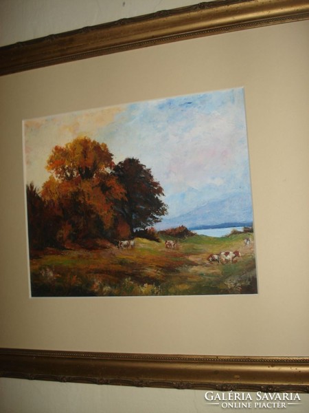 Lake Balaton landscape with cows in the framework