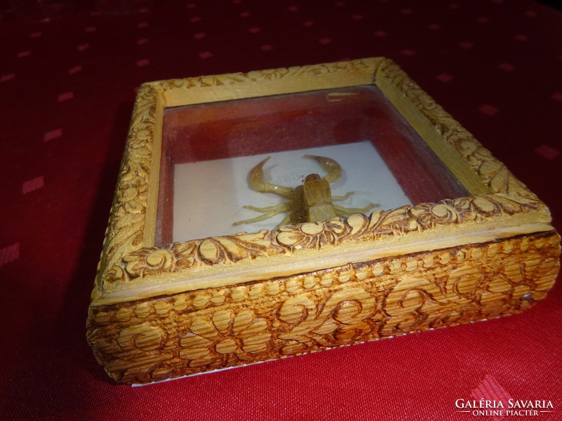 Brown scorpion in a gift box, under a glass plate, size: 11.5 x 11.5 x 4 cm. He has!