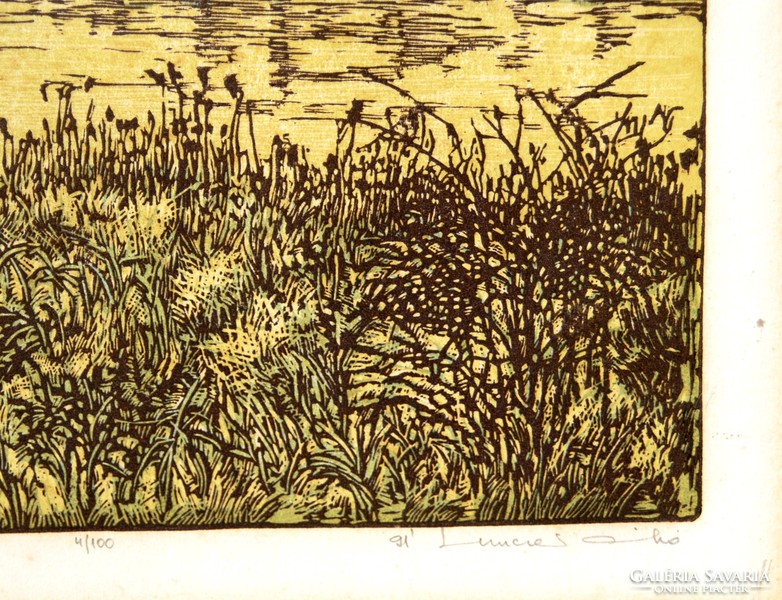 Anikó Lunczer (1942-): Danube bank, 1991 - colored linoleum engraving, 4/100
