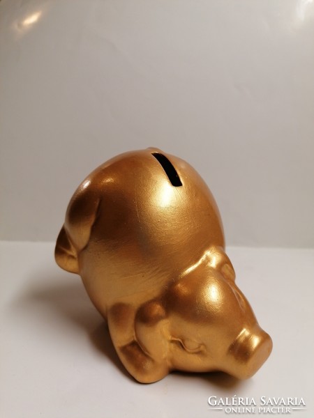 Golden Bush Pig (810)