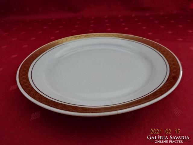 Lowland porcelain plate with a gold border. He has!