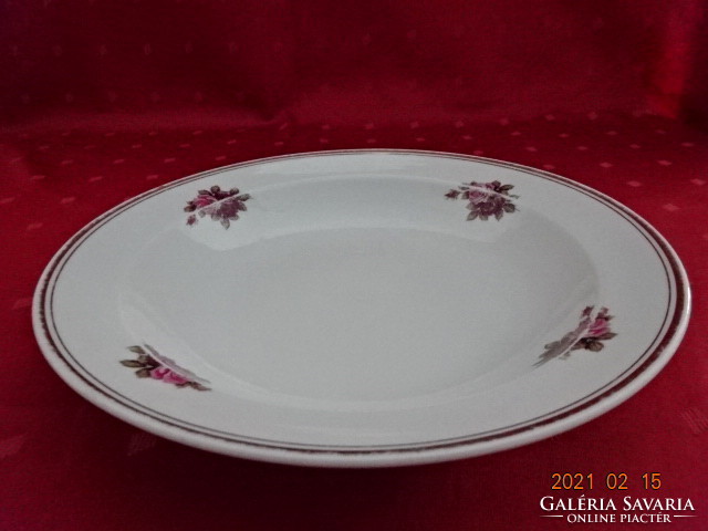 Raven house porcelain, rose patterned deep plate. Its diameter is 23.5 cm. He has!