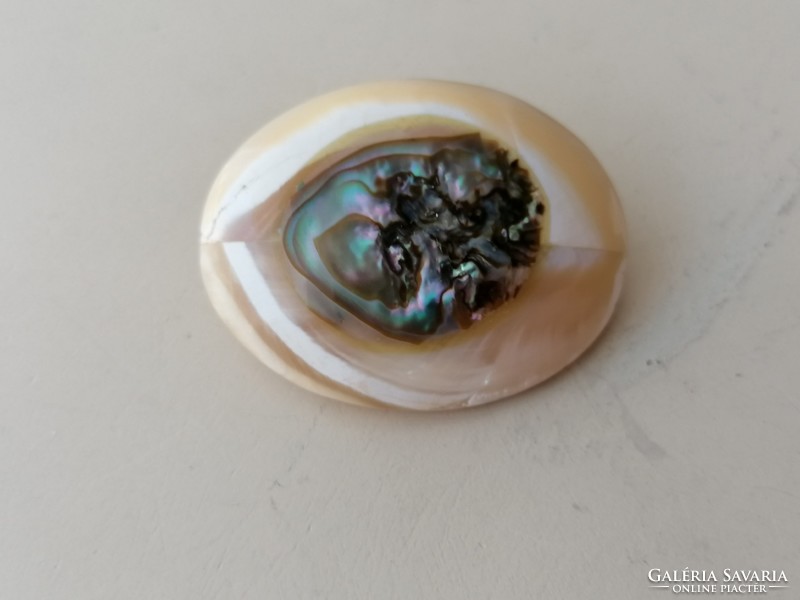 Műanyag vagy bakelit bross, kitűző Abalone gyöngyház kagyló berakással 