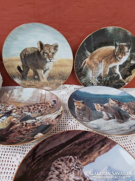 Gyönyörű vadállatos Small Wonders of the Wild Charles Frace hiúz oroszlán tányér  dísztányér Gyűjtői