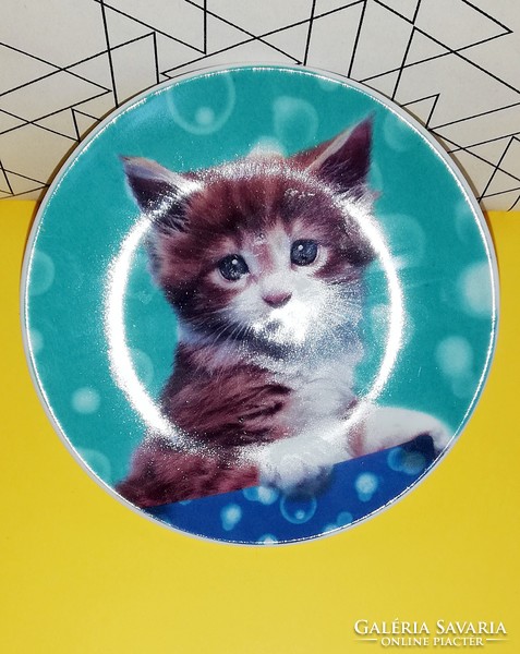Cat wall plate 1.