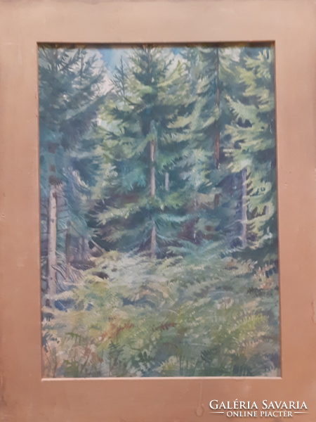 FENYŐERDŐ (akvarell 24,5x35 cm, 1947) természet, fák, tájkép, zöld