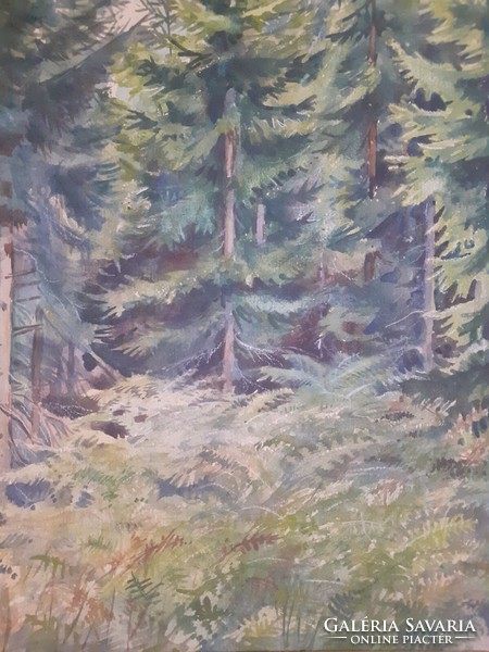 FENYŐERDŐ (akvarell 24,5x35 cm, 1947) természet, fák, tájkép, zöld