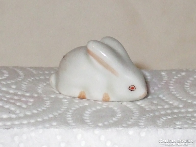 Aquincumi. Miniature rare bunny.