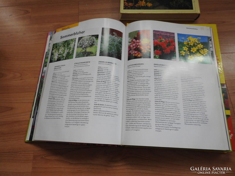 German gardening books _ balkon&terrasse _ heimwerken garden _ mein garden