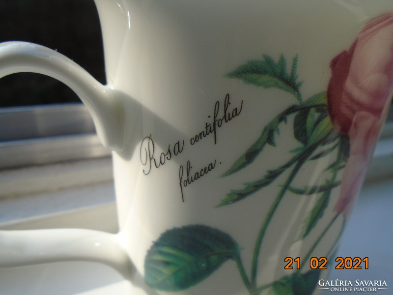 Roy Kirkham Redouté Roses sorozatából Prémium minőségű rózsás bögre finom porcelánból