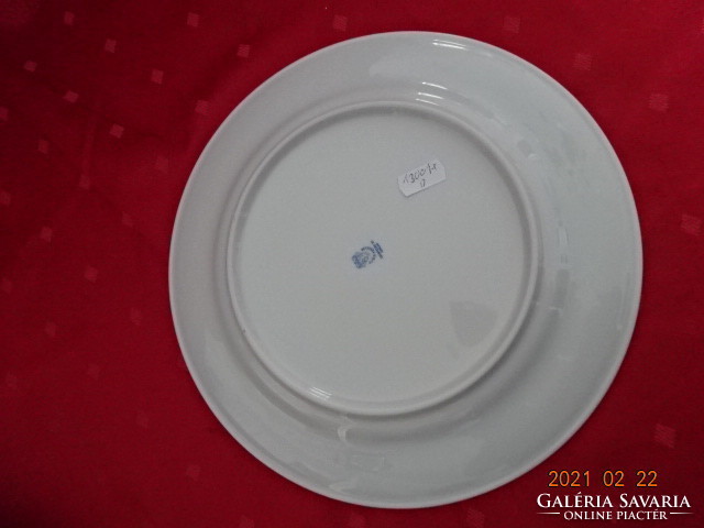 Great Plain porcelain, white flat plate with printed pattern, diameter 26 cm. He has!