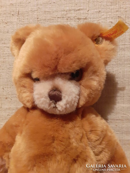 Marked steiff teddy bear in good condition