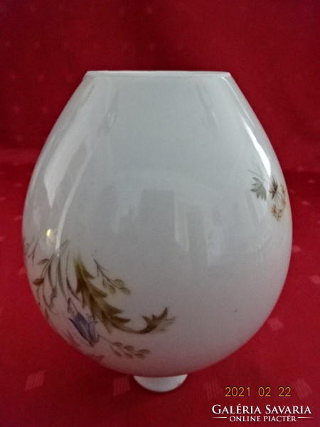 Raven house porcelain, antique vase, rare shape, green border. He has!