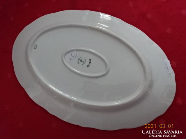 Schmidt Brazilian porcelain oval meat bowl, size 32 x 21 x 2 cm. He has!