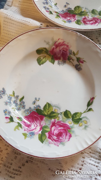 Floral wall plates - Czech? - The price is for 1 piece
