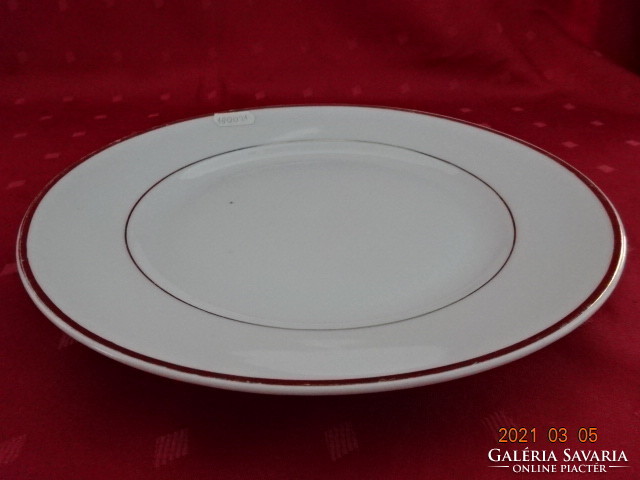 Czechoslovakian porcelain flat plate with gold stripes, diameter 24 cm. He has!