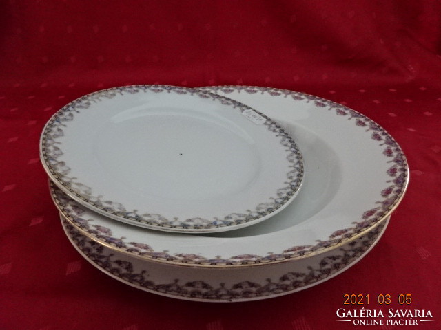 Csehszlovák porcelán, antik tányér garnitúra. ( mély, lapos, süteményes ) Vanneki!